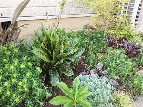 陰生植物 一覧|日陰で育てられるおすすめの植物 34種類！